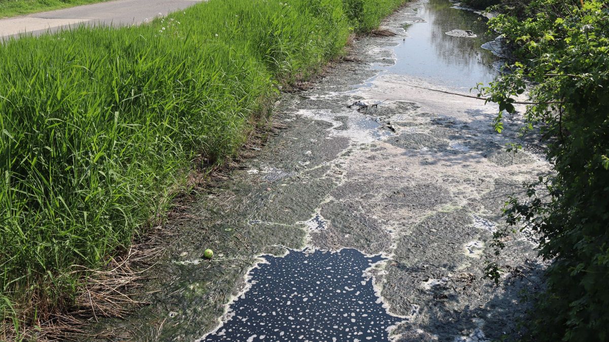 Évtizedes probléma tűnhet el: véget vethetnek a fojtogató bűznek – galériával, videóval