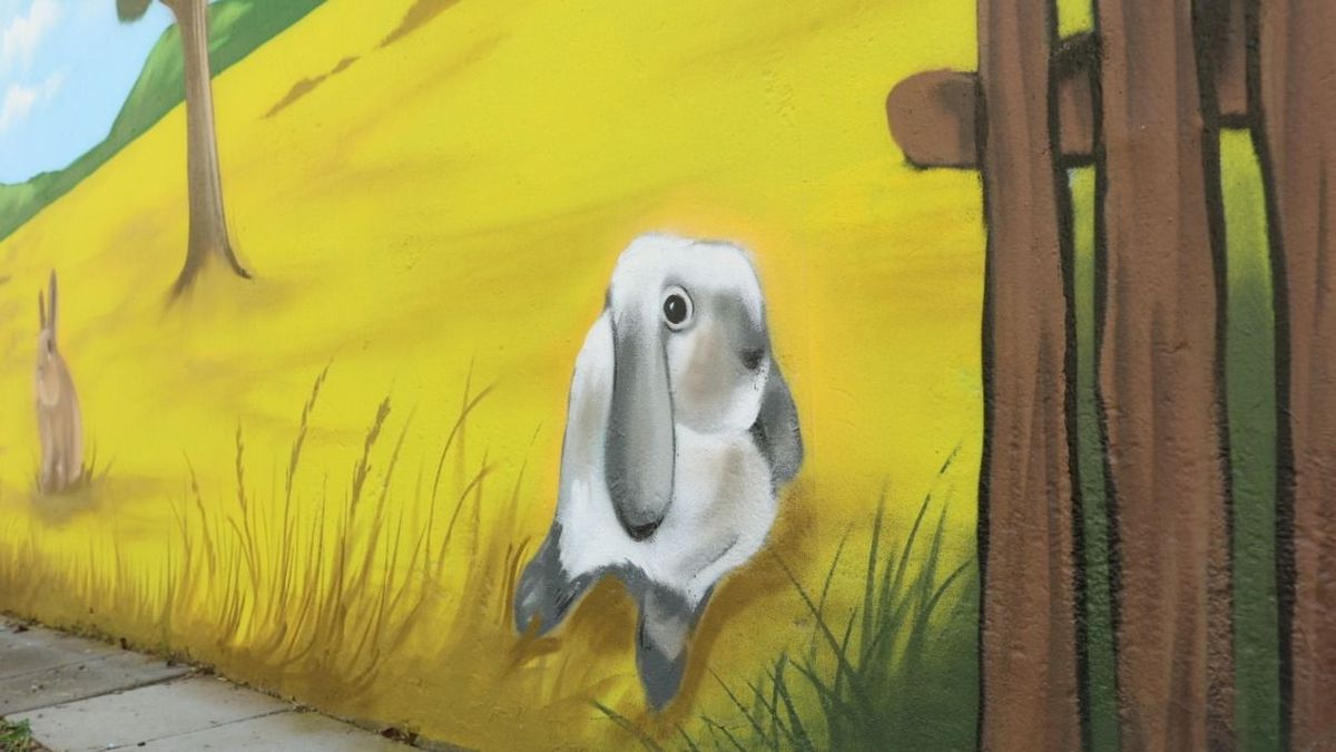 A lakók kérték, a művész megfestette: mesevilág lett a szegedi panelből