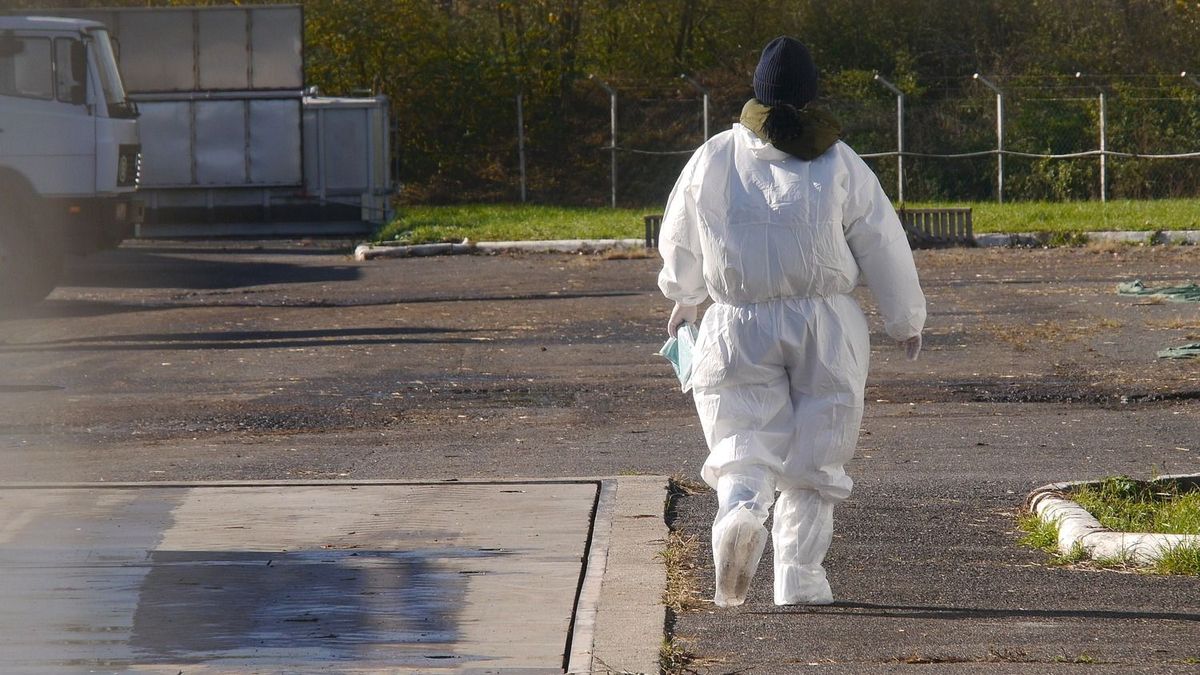 Vége a gazdák rettegésének, óriási bejelentést tett a Nébih