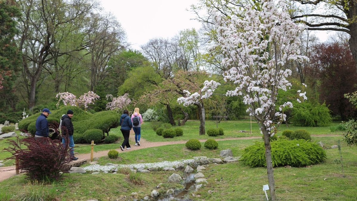 Virágba borultak a fák, fagytól tartanak a gazdák - ezt olvasta a vármegye szombaton