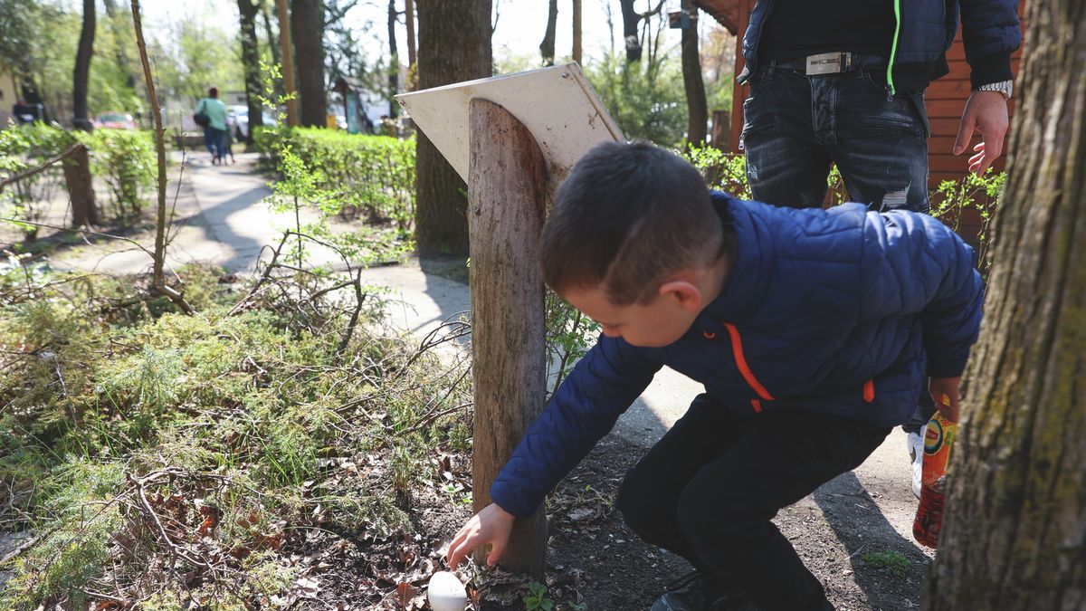 Tojásvadászat és katonai siker: pörgős nap Csongrád-Csanádban