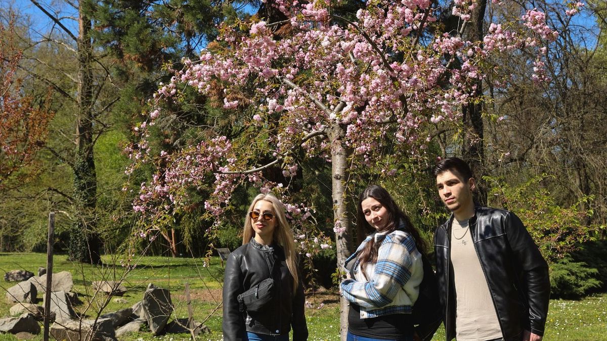 Ragyogó napsütéssel búcsúzik tőlünk a hét
