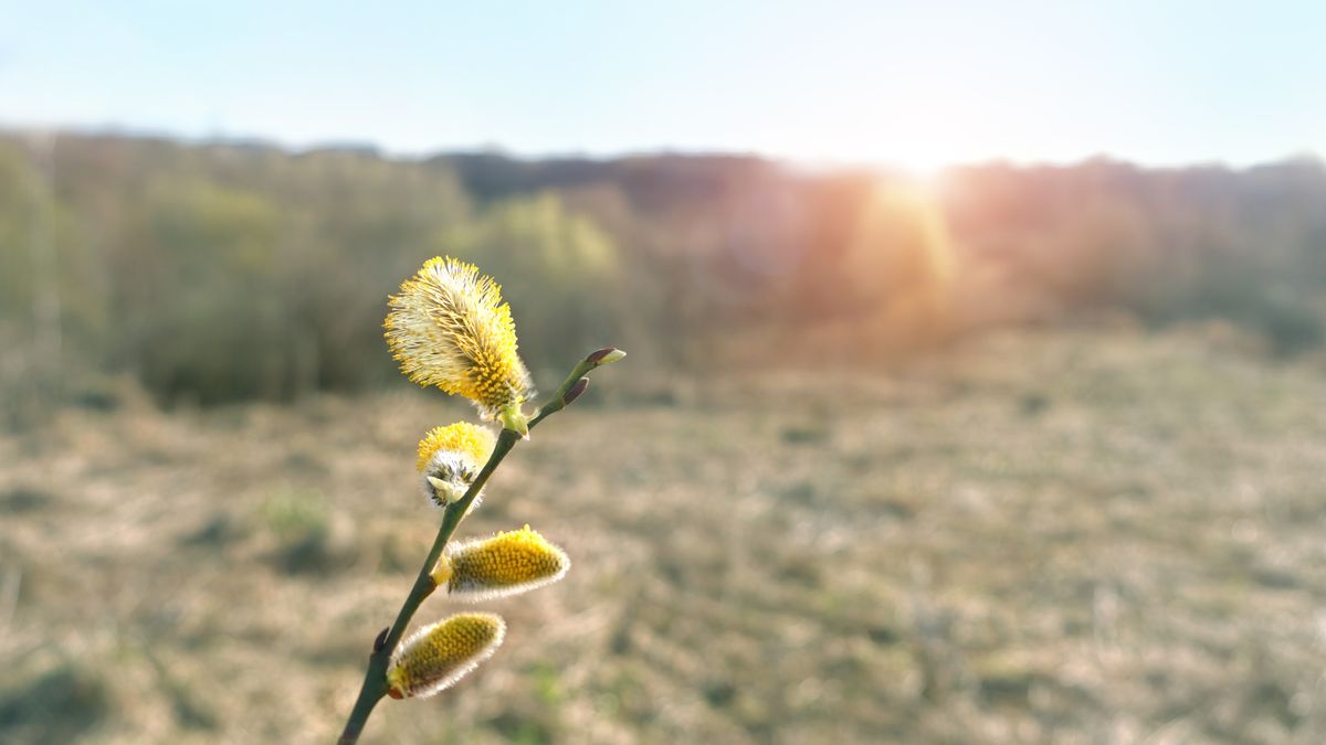 Milyen idő lesz ma Szegeden? Itt a friss előrejelzés!