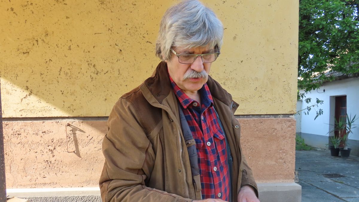 Mindszent háziorvosa kezei között új életet kapott az egykori tamariska bokor szára