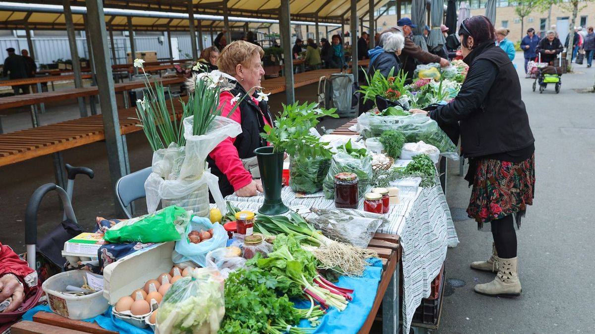 Alkudni vagy nem alkudni? Kiderült, mi a helyzet a Mars téri piacon