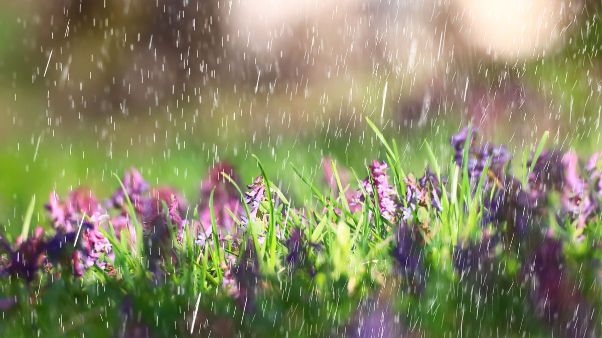 Napsütéssel indul, felhőkkel folytatódik az időjárás