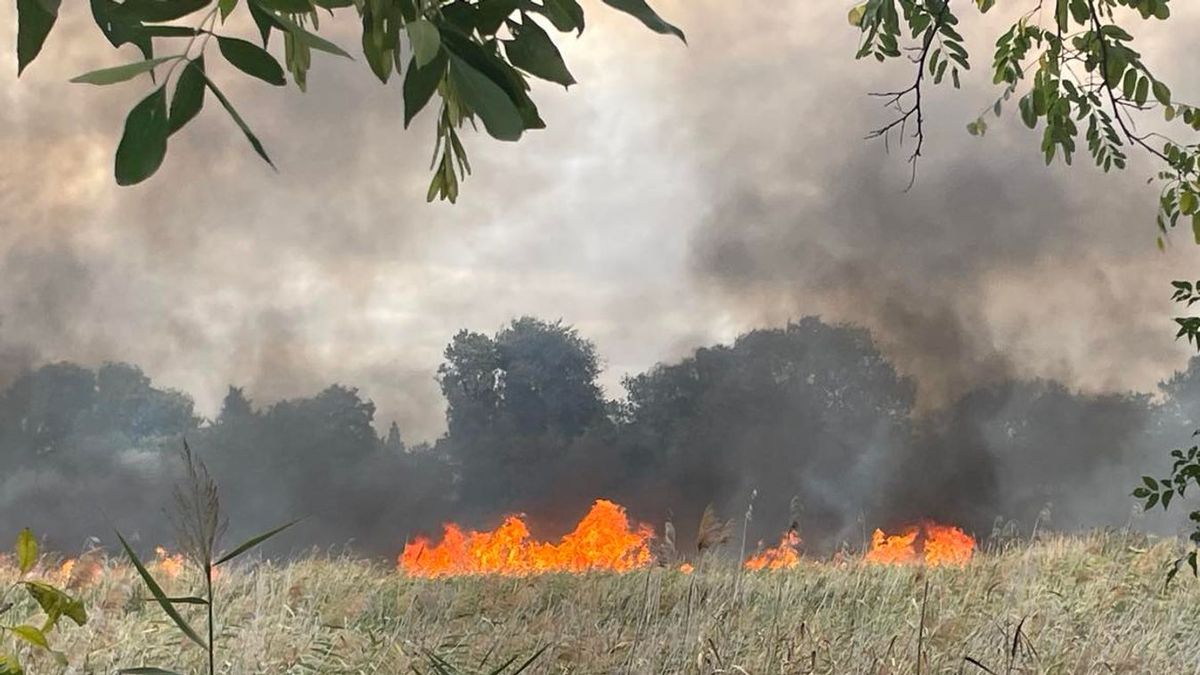 Riadalom Baktóban – egy hektárnyi nádas vált a lángok martalékává