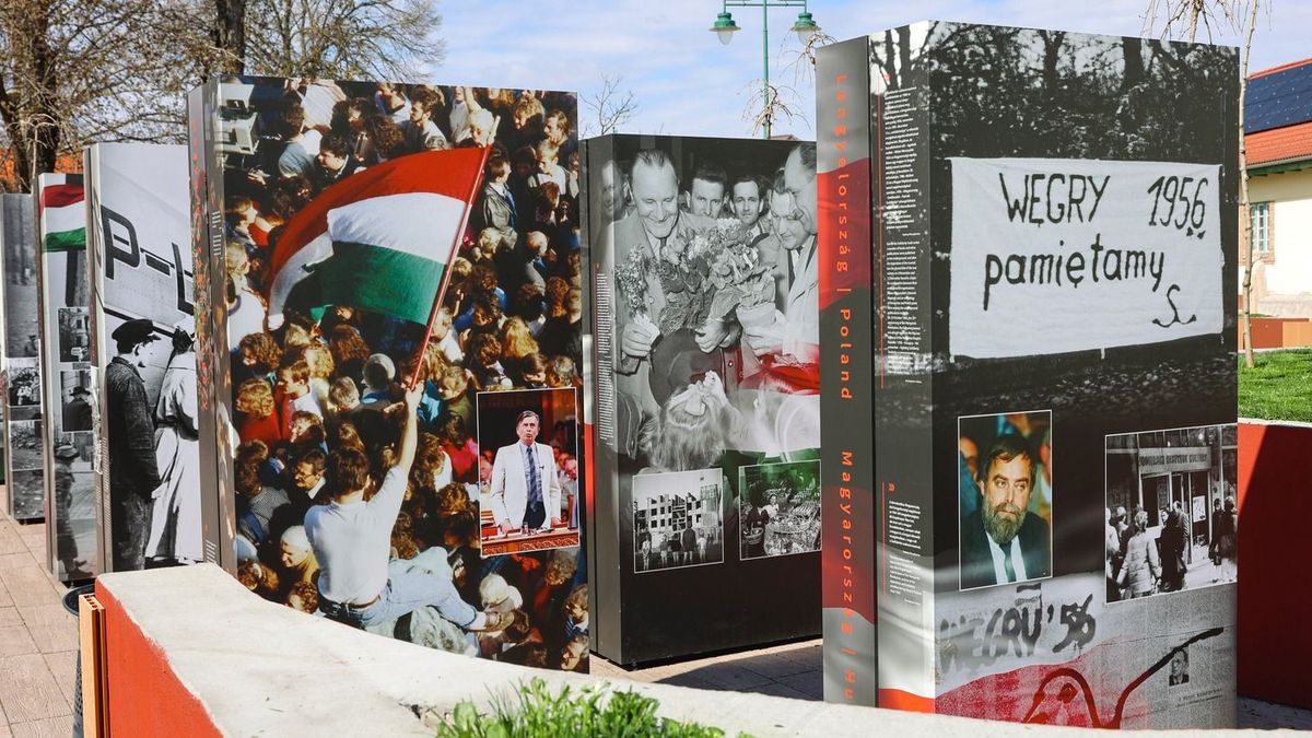 Megállít az idő Mórahalom közepén: különleges kiállításra bukkantunk a város szívében