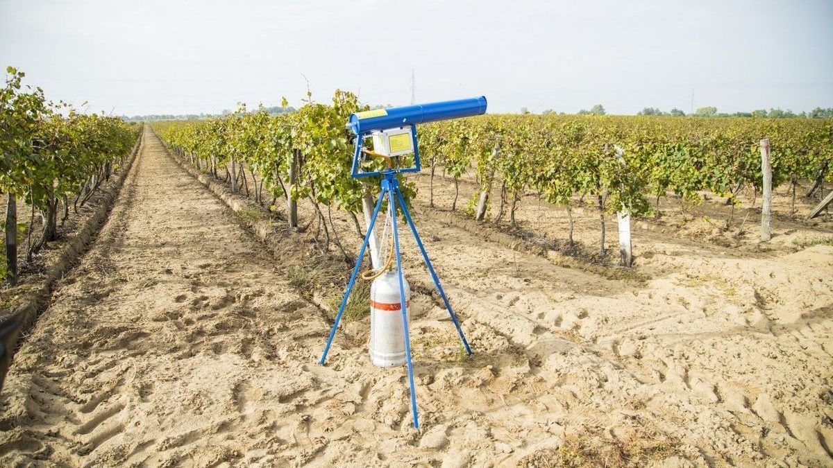 Mintha lövöldöznének a határban, szokatlan zaj zavarja a makóiakat