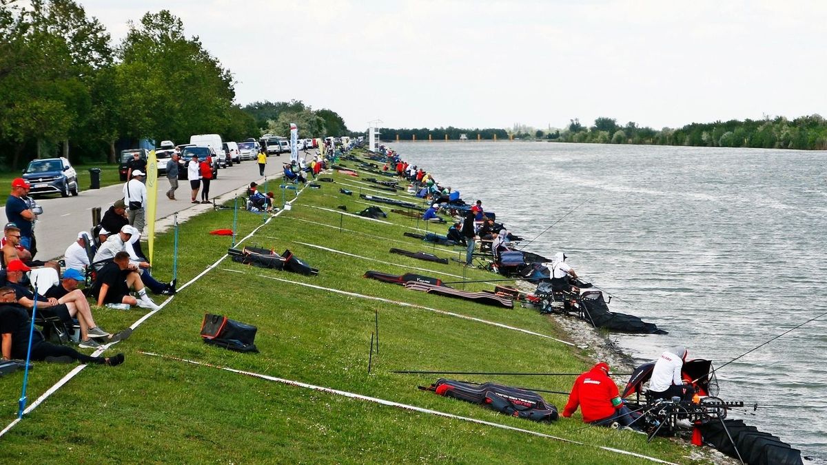 Pattanásig feszült idegek a zárónapon: alig fél pont választotta el a győztest a történelmi sikertől