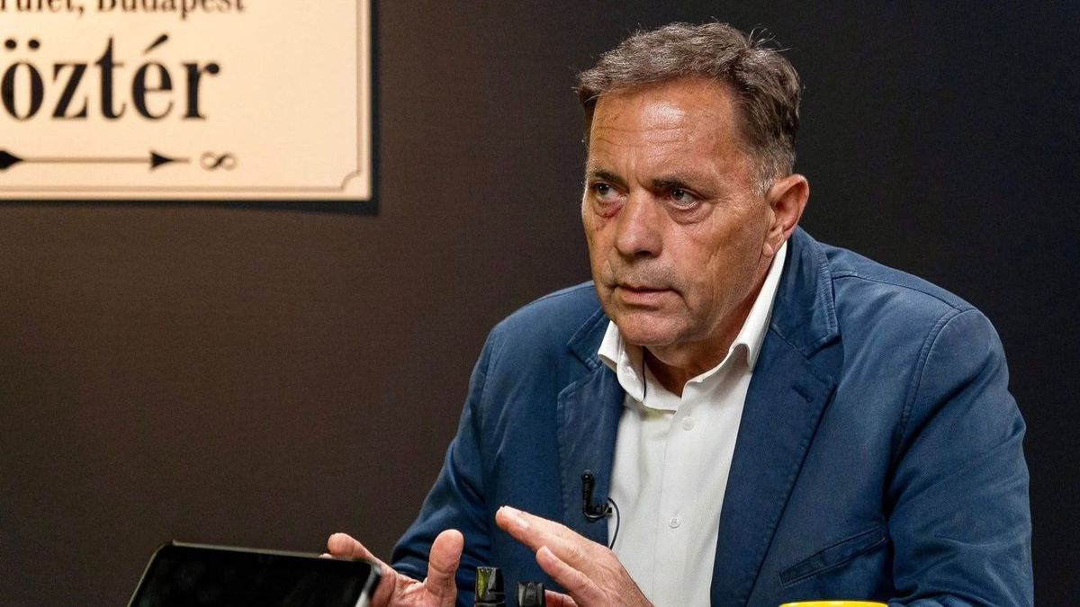 Pócs János: A Zsolti bácsis szálak a Tisza párthoz vezetnek (videó)