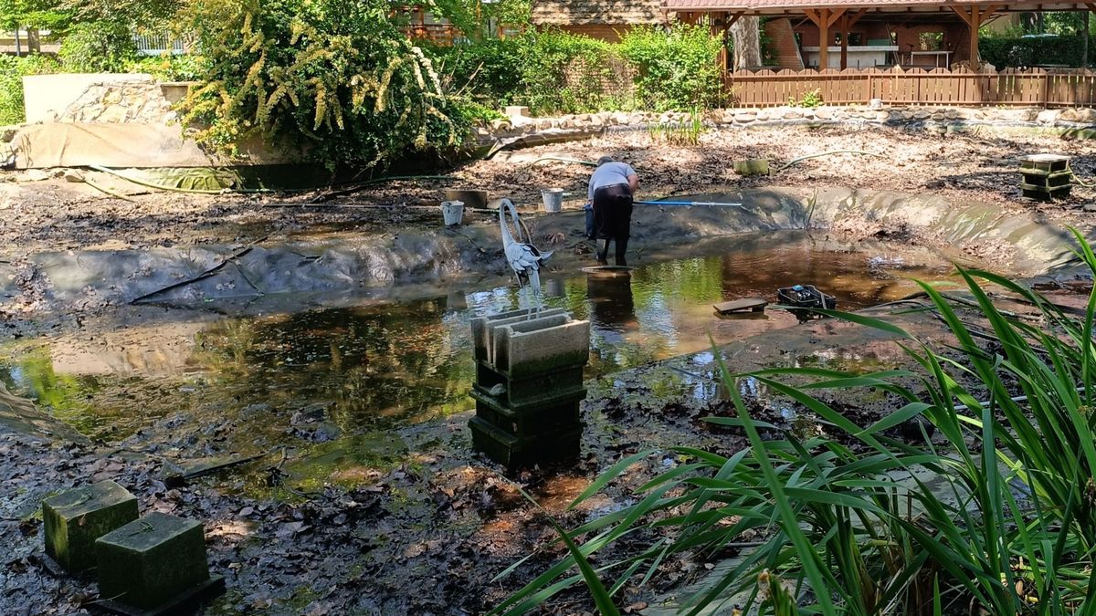 Eltűnt a víz a makói tóból – mi történik a Petőfi parkban?