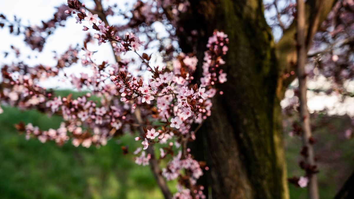 Kettészakad az ország időjárása kedden