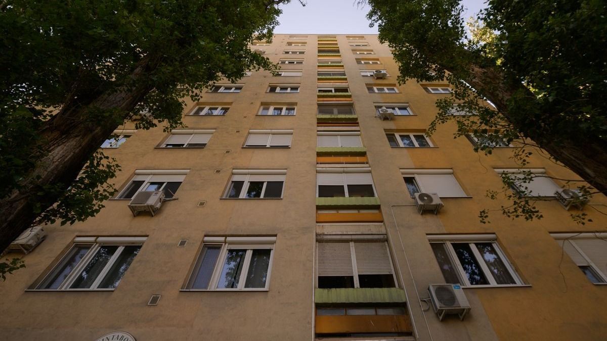 Drámai küzdelem a szegedi panelek között: egy kis vakond próbált kimászni az aszfalt fogságából