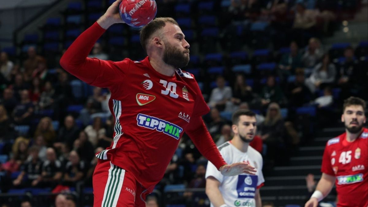 Szabadkártyát igényelt a szövetség a magyar válogatottnak a vb-re