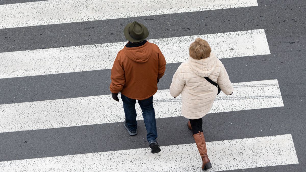 Hiába a fékezés, már késő volt: súlyos büntetés várhat a szegedi sofőrre
