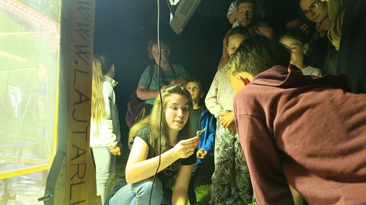 Nem mindennapi látvány fogadta azokat, akik sötétedés után a