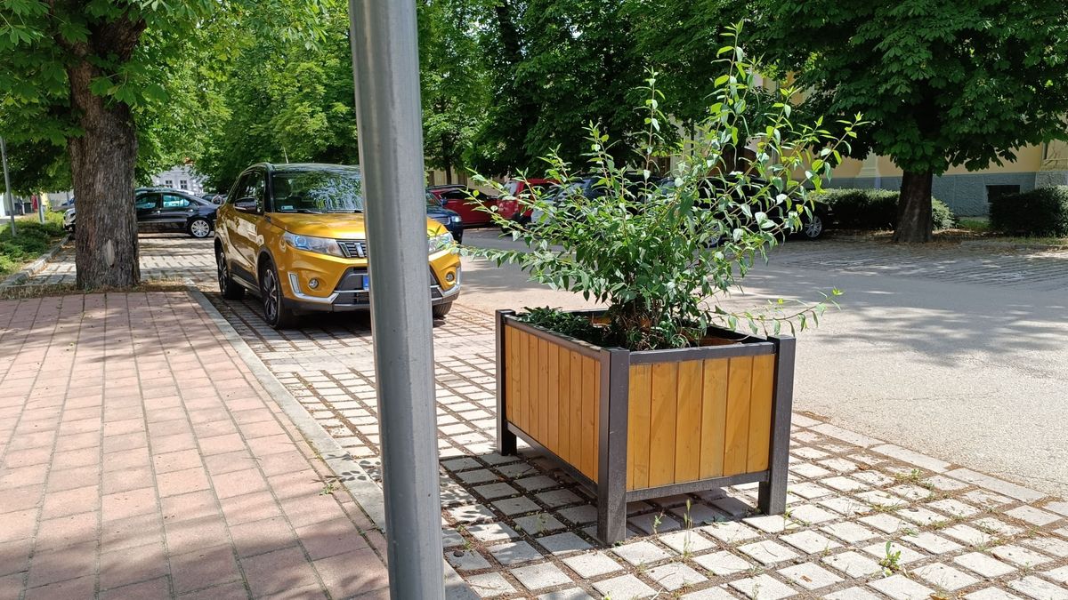 A rendőrség segítséget kér, most bárki segíthet kiszúrni a v