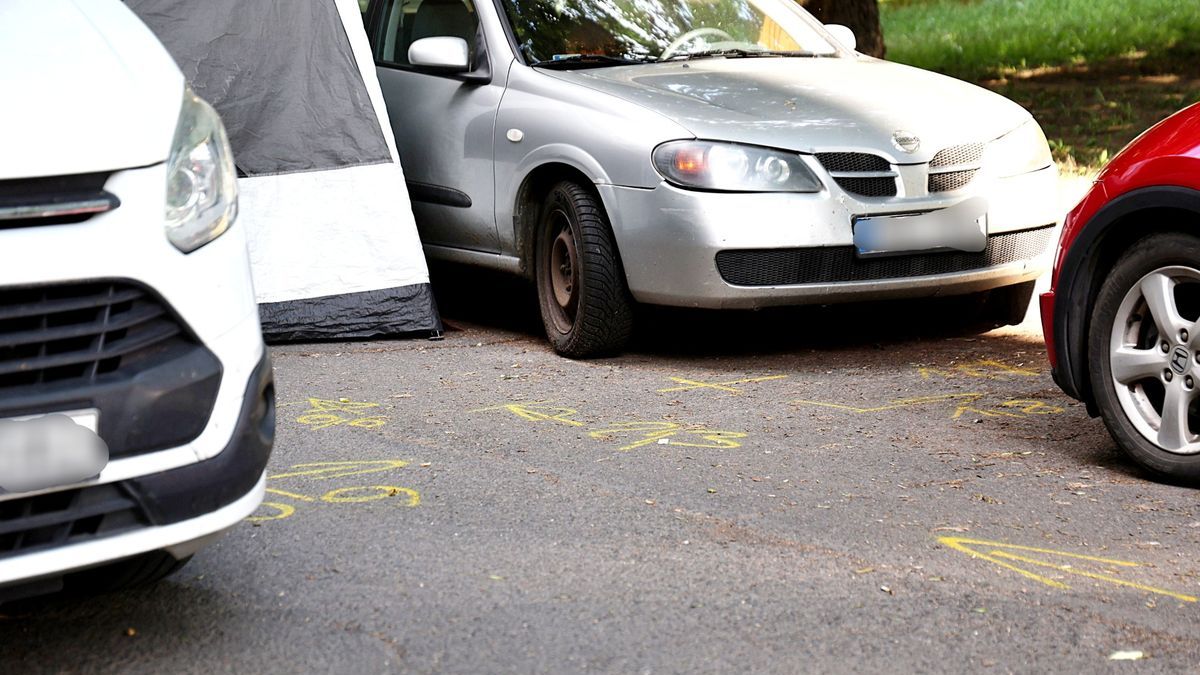 Haláleset, tiszavirágzás és titkos esküvő: esemény
