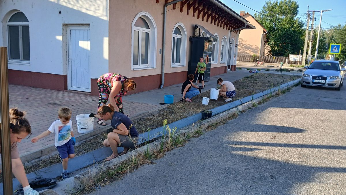 Elegük lett a szúrós gyomból, összefogtak a szülők, hogy megtisztítsák a települést – galériával