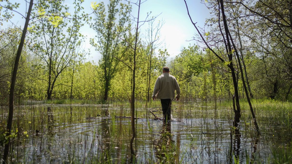 Megállítható az elsivatagosodás? Szeged mellett erre már van bizonyíték