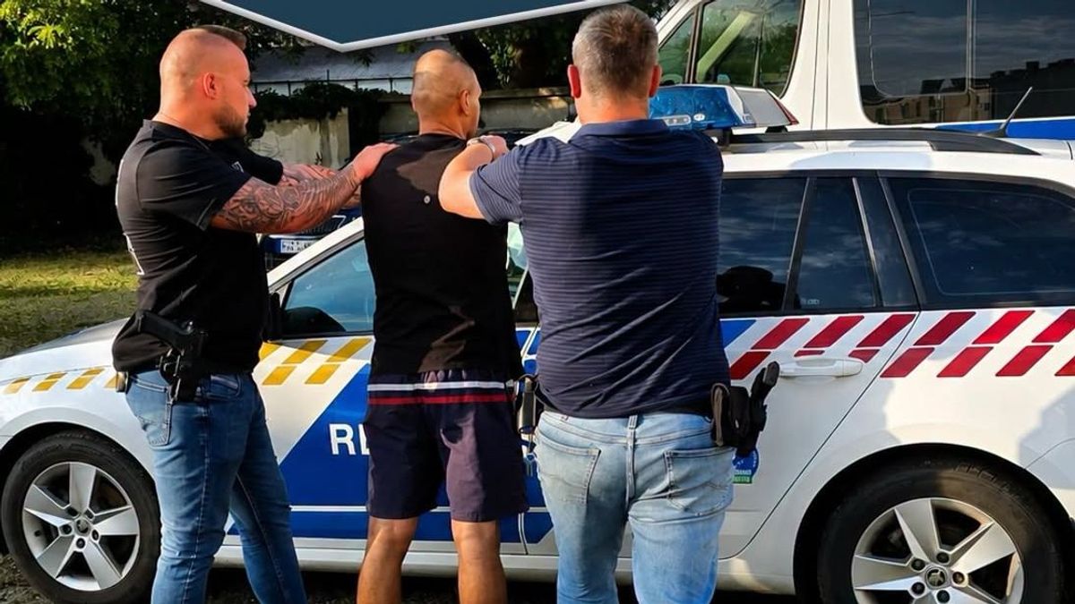 Erdő mélyén bukkantak rá a marihuánaültetvényre, apa és fia is gyanúsított lett