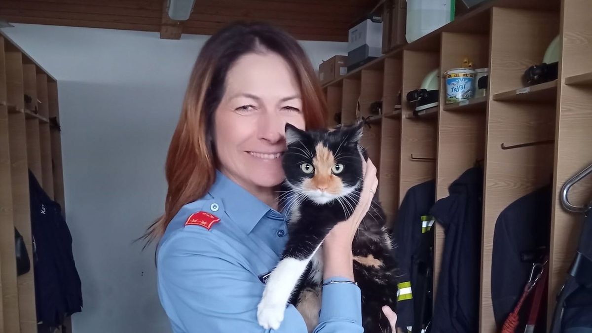 Különleges bevetésen vett részt a vásárhelyi tűzoltólaktanya cicája