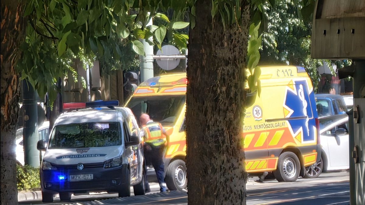 Elütöttek egy idős nőt Szeged belvárosában