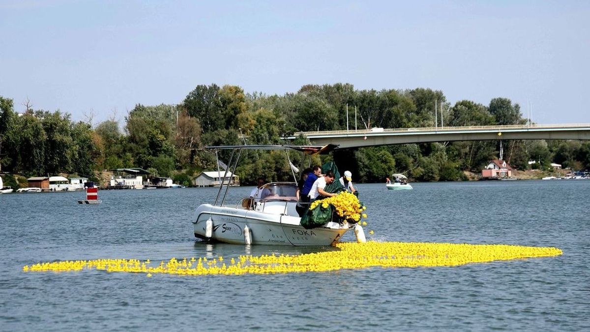 Ötezer gumikacsa lepi el a Tiszát: idén is jön Szeged egyik leglátványosabb versenye