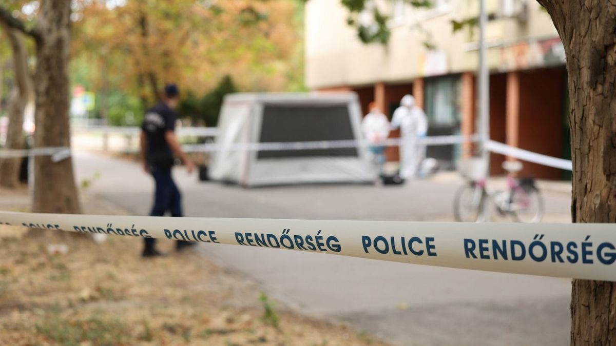 Elhunyt a 10. emeletről kizuhant gyermek, rendőrök és helyszínelők lepték el a szegedi panelházat + fotók