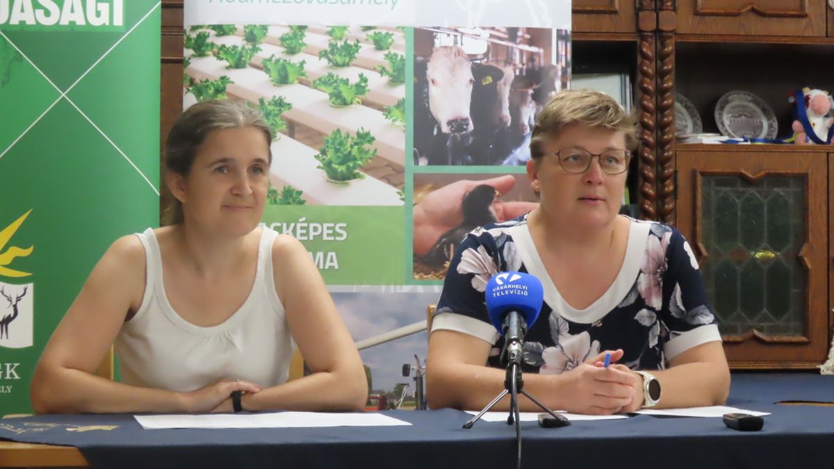 Továbbra is vonzó a hódmezővásárhelyi agrárképzés, ezt mutatják a számok
