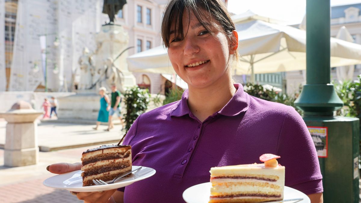 Ugyanaz a recept, mégis más lehet az országtorta – 21 helyen kóstolható a megyében, itt a lista + fotók