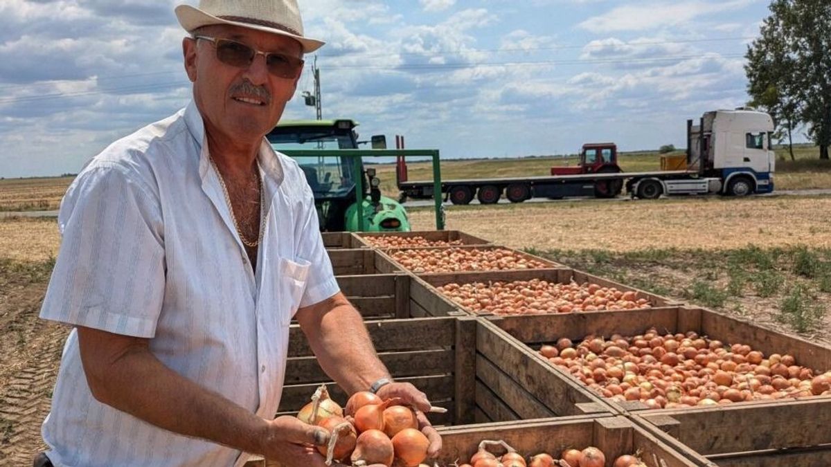 Olyan súlyos aszály pusztít a földeken, hogy térképen is nehéz jelölni – mi lesz a mezőgazdasággal?