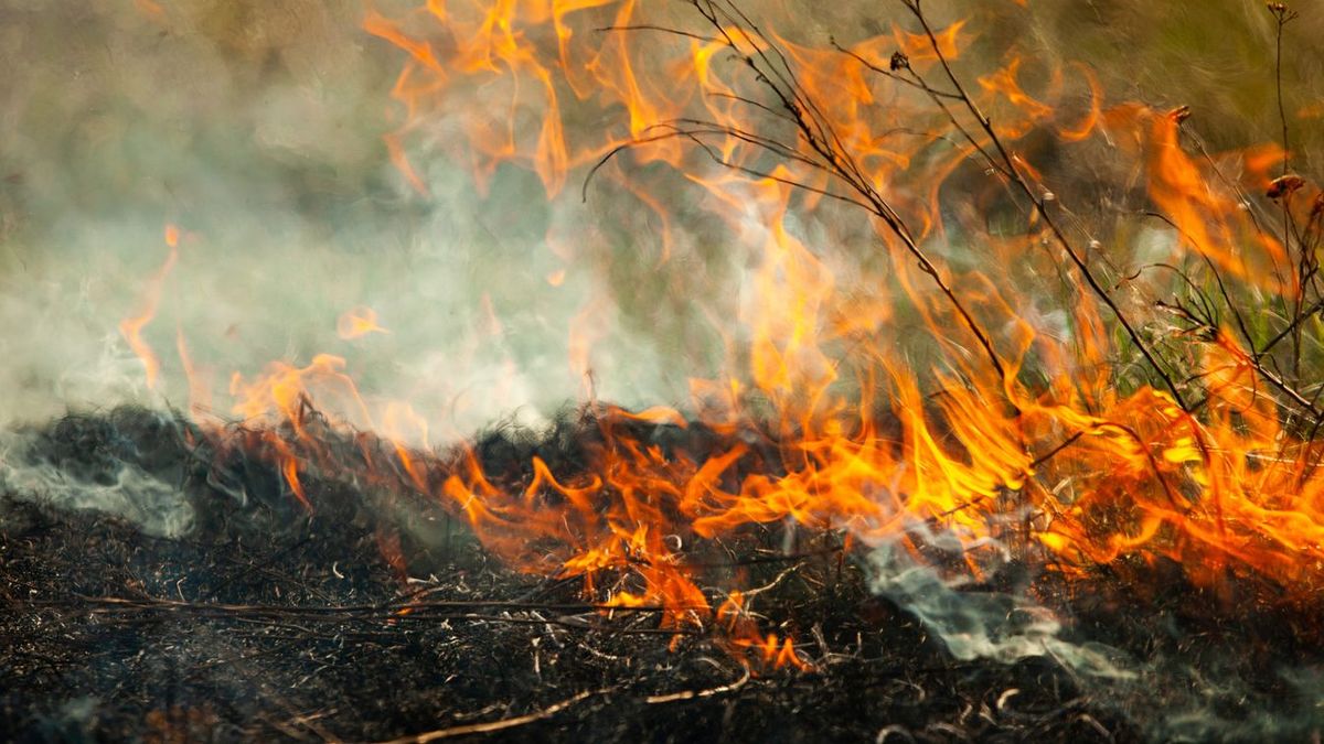 Mórahalomnál, az V. körzet tanyán is dolgoznak a tűzoltók