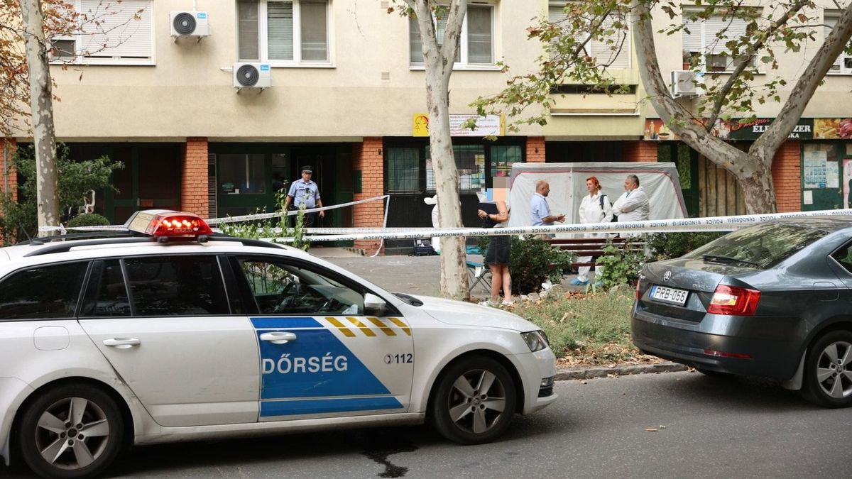 Újabb részletek a szegedi halálos balesetről: egy 7 éves autista kisfiú esett ki a 10. emeletről + fotók