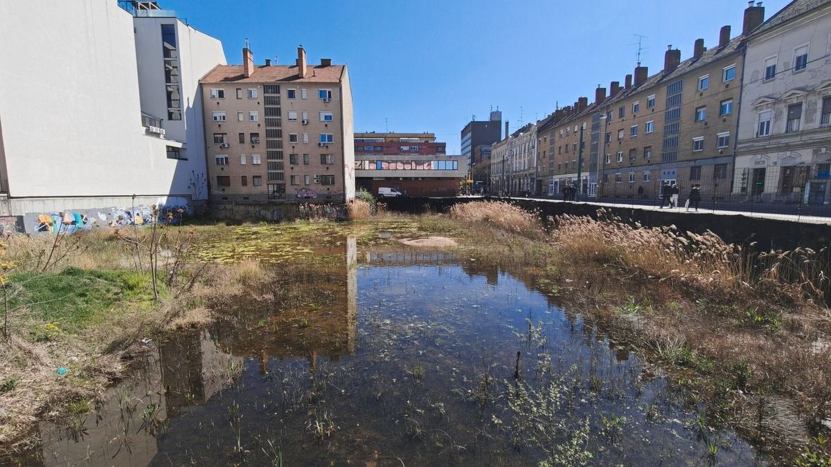 Egymilliárdos javaslat kerül a közgyűlés elé a Centrum-gödör ügyében