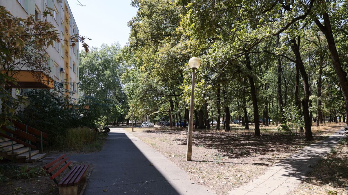 Éjjel-nappal locsolták Szeged zöldjét, de a szárazság valódi ára csak később derül ki