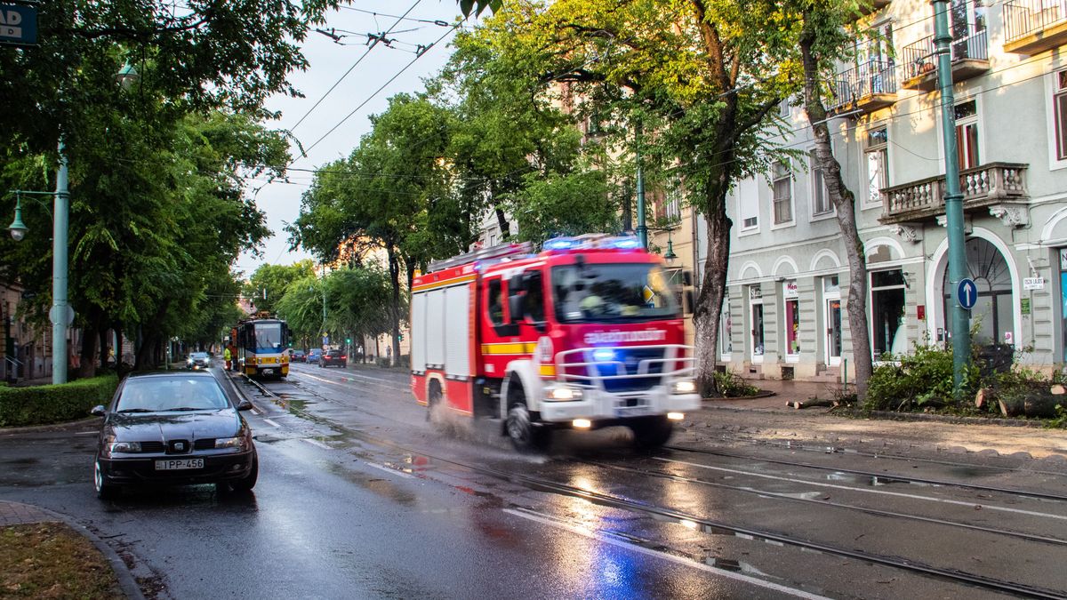 Egymást érték a riasztások: több helyen is felcsaptak a lángok
