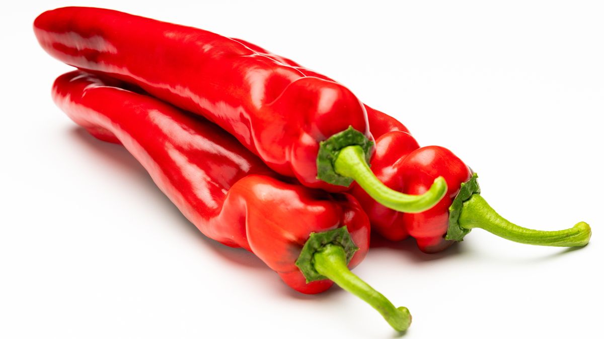 Palermo paprika akció