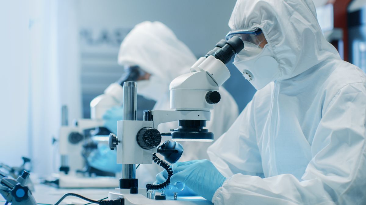 Antibiotikumokra nem reagáló baktériumok ellen fejlesztenek új kezelést Szegeden