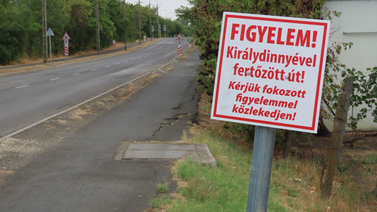 Vásárhelyen már alig győzik a bicikliszerelők a királydinnyés defektek javítását