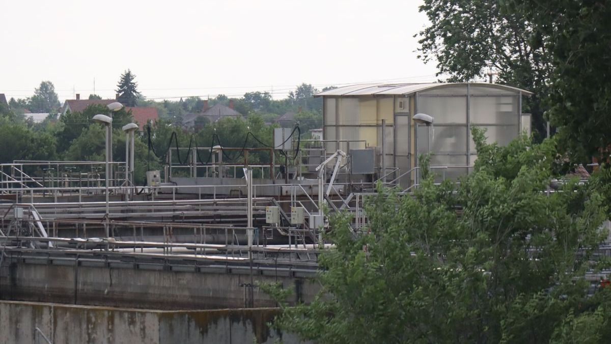 Évek óta fojtogatja a bűz a makóiakat, most betelt a pohár