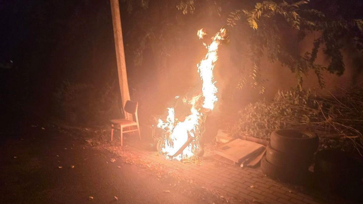 Kukákat, nádasokat és erdőket gyújtott fel – rács mögé került a hódmezővásárhelyi férfi
