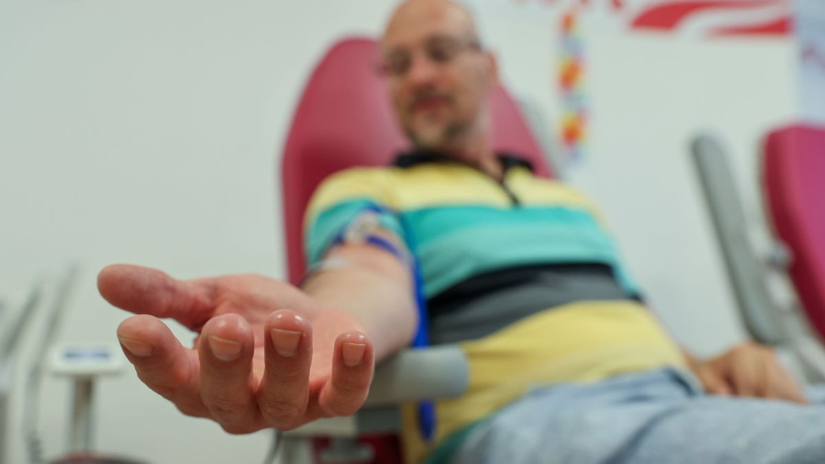 Nemcsak a lángok között mentenek életet a szegedi tűzoltók