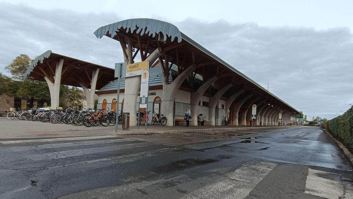 Betelt a pohár, összeszedték a régóta elhagyott bicikliket Makón – több, mint harminc kerékpárt vittek el