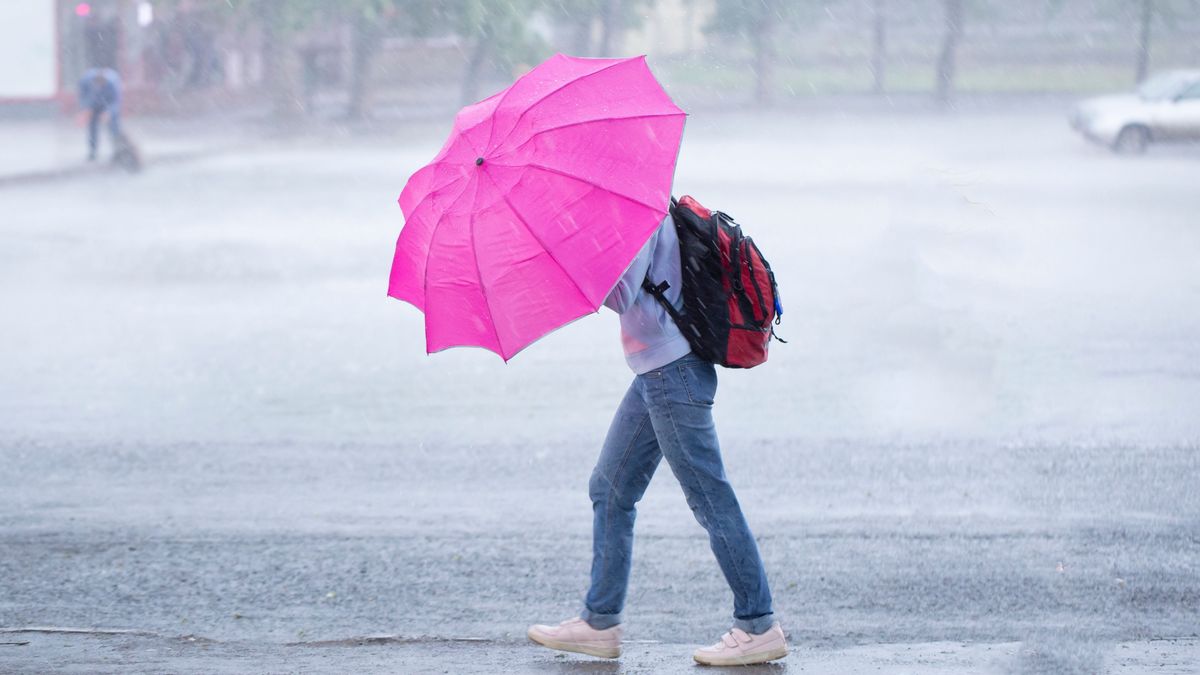 Riasztó előrejelzés: 2027-ben a 2024-es csapadékrekordot is túlszárnyalhatja az El Niño