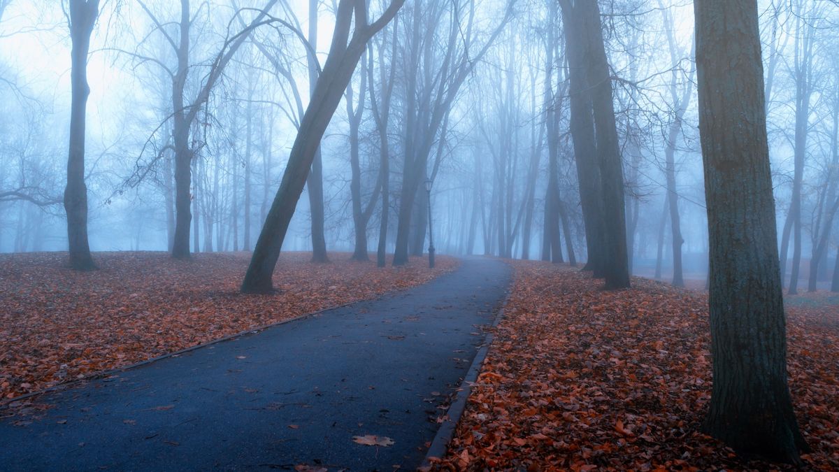 Fagypont alá is süllyedhet a hőmérséklet péntek hajnalban