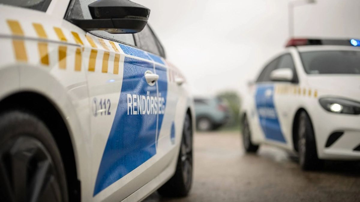Hivatalos személy elleni erőszak matt elfogatóparancsot adtak ki a szlovák nő ellen + fotó
