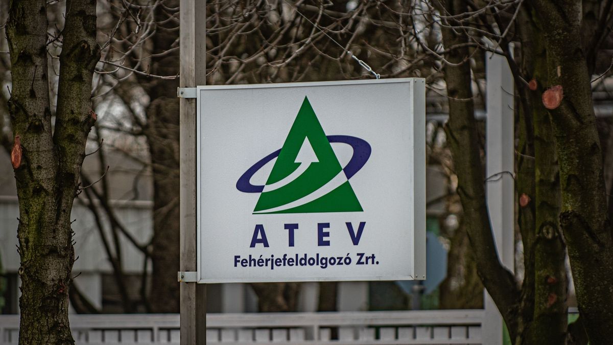 Újra napirendre kerül a vásárhelyieket bosszantó bűz, most bárki elmondhatja a véleményét