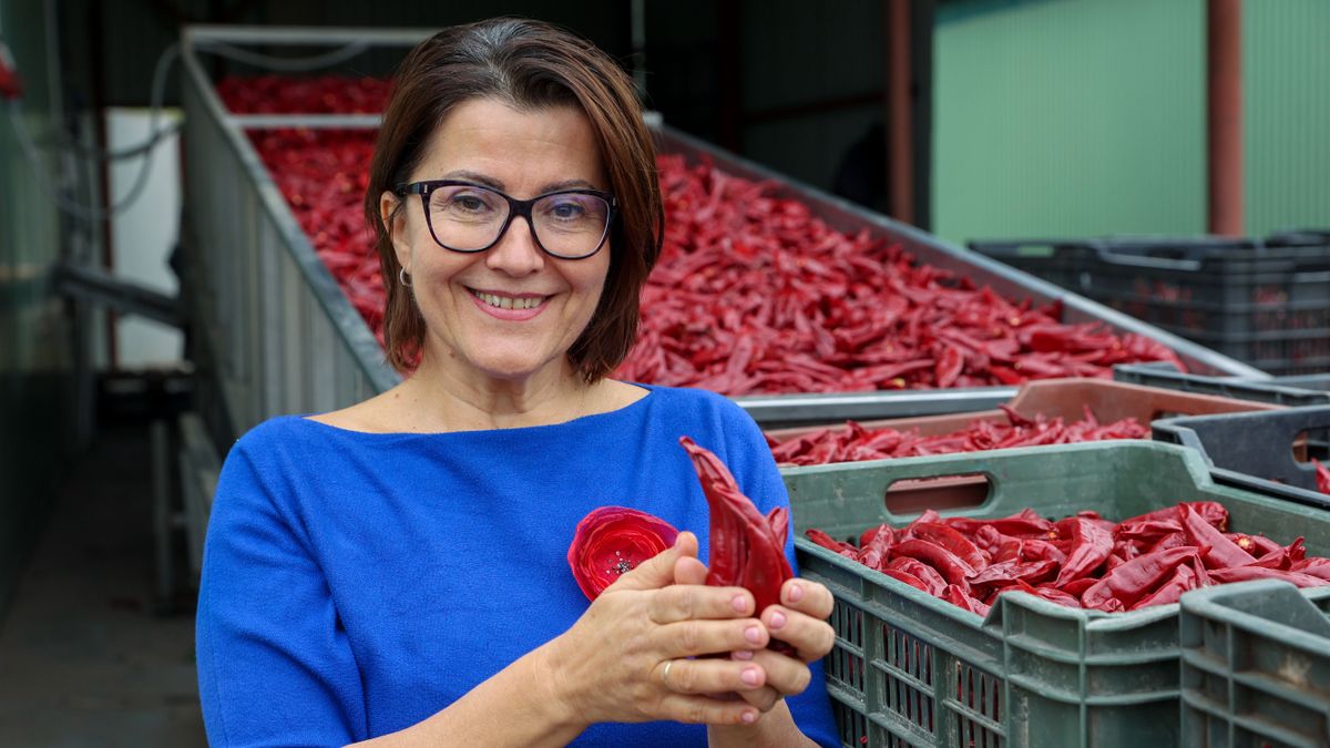 Szebb lett az idei szegedi paprika, mégis komoly baj fenyegeti a termelőket